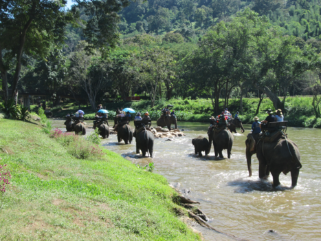 Rondreis Thailand in twee weken - chiang mai