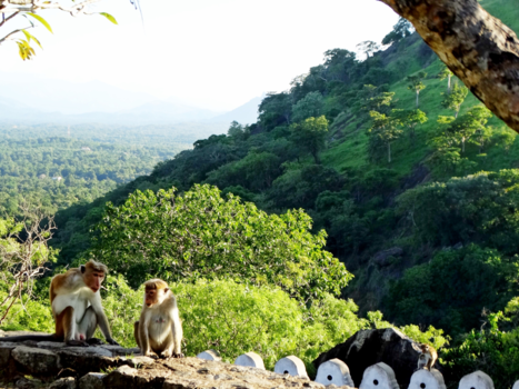 Sri Lanka - Man en vrouw