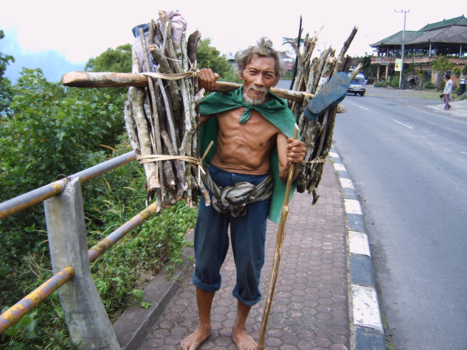 Japan - Hout sprokkelaar op Bali