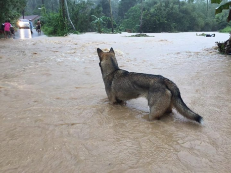 Koh Samui - Only Floot