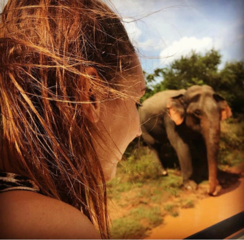 Sri Lanka - National Park Udawalawe