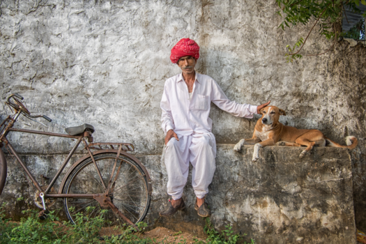 India - plattelandsleven in Ranakpur