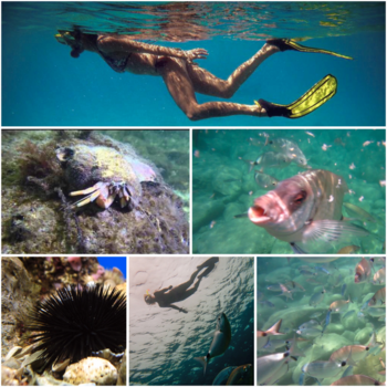 Turkije - Snorkelen onderweg met de boot