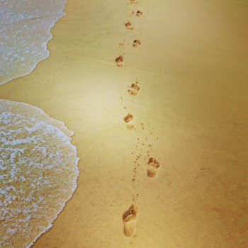 Phu Quoc Island - Waar leiden jouw voetstappen heen?