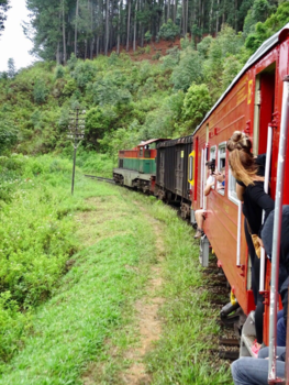 Sri Lanka - Natuur belevenis!