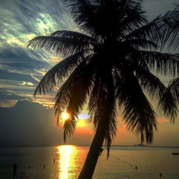 Maleisië - Perfect sunset