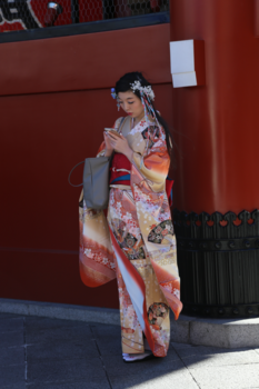 Tokio - Heden ontmoet verleden