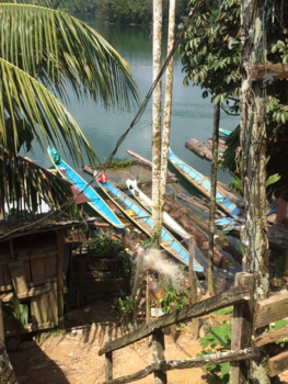 Maleisië - Real live Borneo