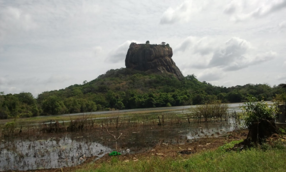 Sri Lanka - De Leeuwenrots