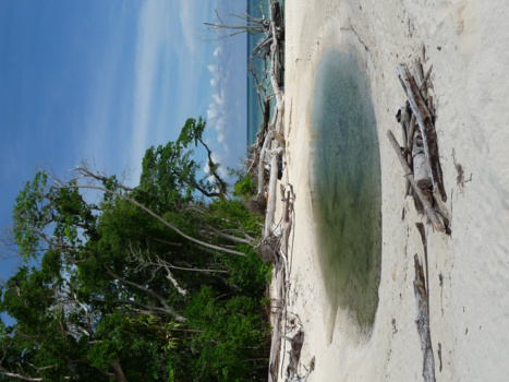 Rondreis door Maleisisch Borneo - De wow factor ....Sipadan, Borneo.