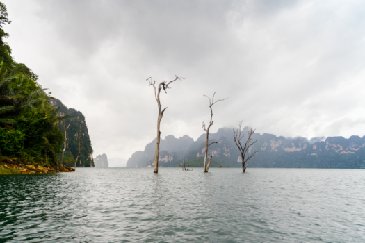Rondreis Thailand in twee weken - National park Koh Sok