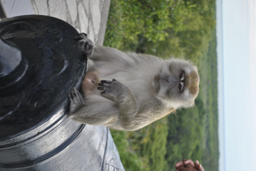 Maleisië - Onderweg