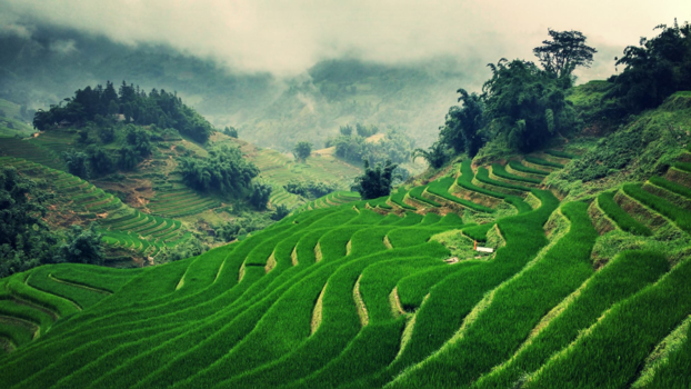 Vietnam - Good Morning Sa Pa (North Vietnam)