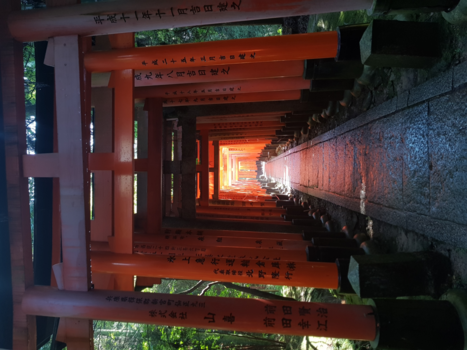 Kyoto - De Magie Van Fushimi Inari Taisha