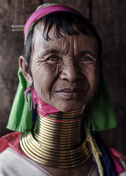 Myanmar - Burmanese Longneck