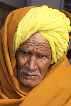 India - Radjahstan op en top