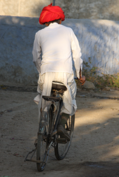 India - Het vervoermiddel dat je overal ter wereld tegenkomt, zo ook in Radjahstan