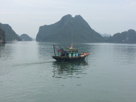 Rondreis Vietnam in twee weken - Halong bay