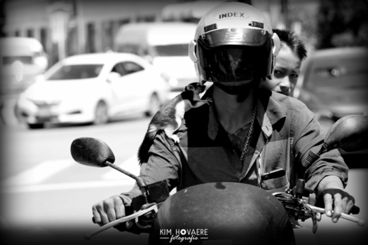 Phuket - On the road