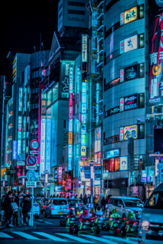 Tokio - CHAOS IN THE CITY OF PEACE