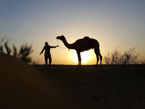 India - Camel safari
