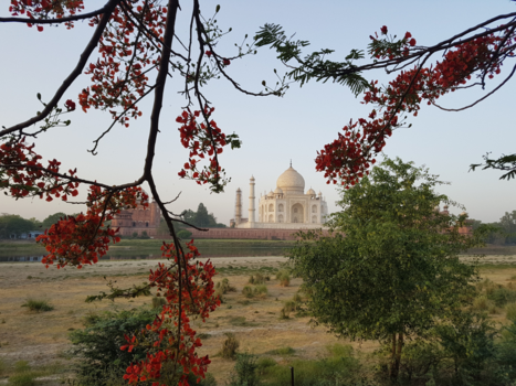 India - Taj mahal