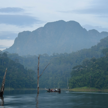 Khao Sok National Park - Oerwoudgeluiden op Khao Sok Lake