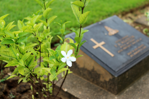 Rondreis Noord-Thailand - Vergeten cultuur