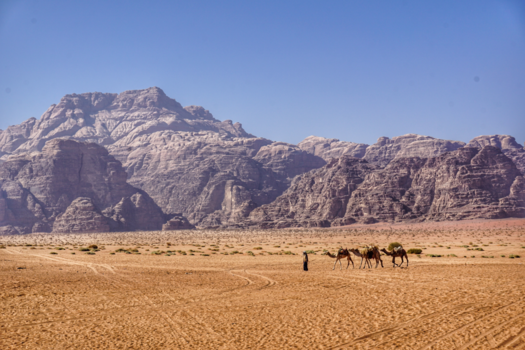 Wadi Rum - Nomaad trekt met kamelen door de woestijn