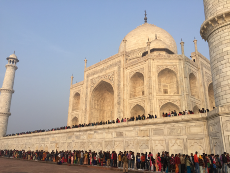 Taj Mahal - Line up!