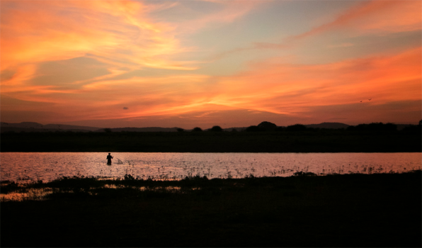 Sri Lanka - Sri lanka