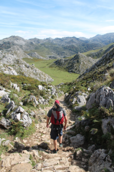 Kyoto - Klaas voor Een tocht over de Pico’s
