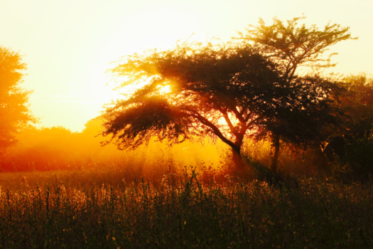 Myanmar - Mystical sunset in Bagan
