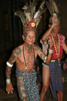 Rondreis door Maleisisch Borneo - De vogeltjes dans...