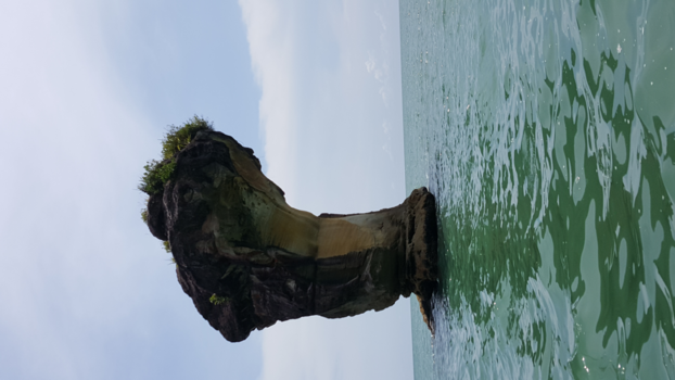 Bako National Park - Cobra