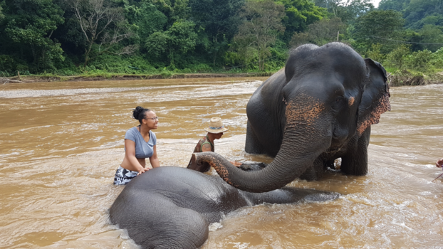 Rondreis Thailand in vier weken - Olifanten zijn erg lief