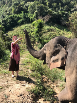 Thailand - Olifantjes voeren