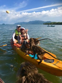 Koh Lanta - Yes, monkeys love bananas (ko lanta, Thailand)