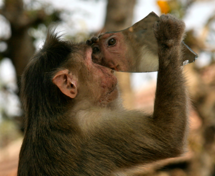Mumbai - Kijk nog eens vaker in de spiegel!