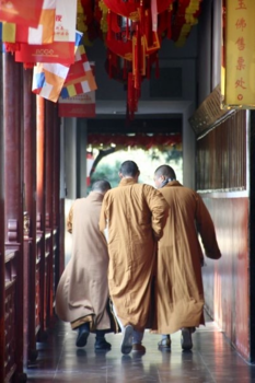 China - Pathway to Tranquility Shanghai China