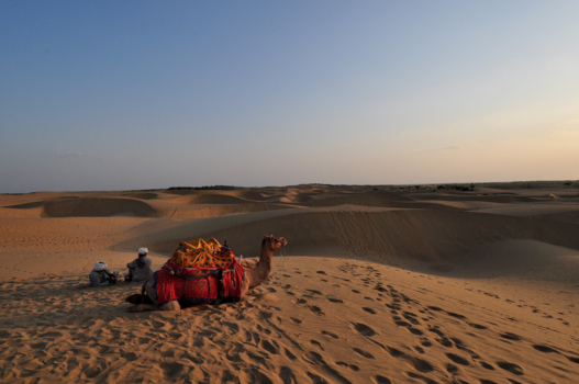 India - Thardesert, Rajasthan, India.