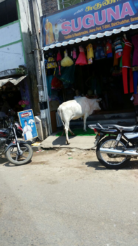 Chennai - Just shopping