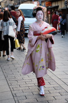 Japan - Maiko in Kyoto