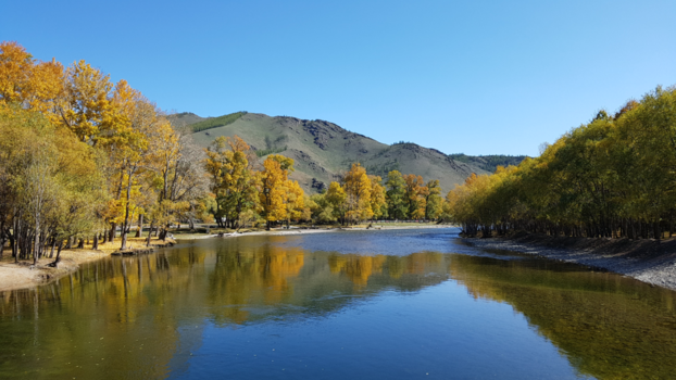 Mongolië - Terelj national park.