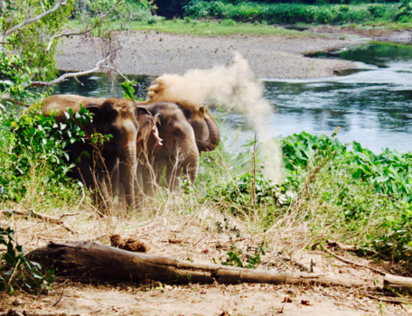 Kanchanaburi - Zand douche