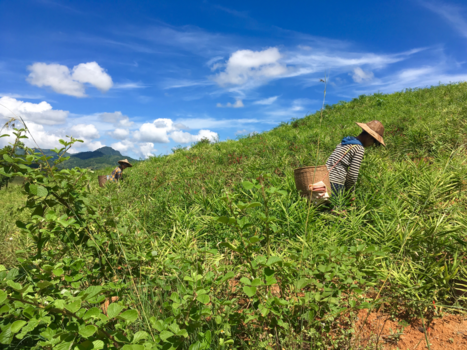 Myanmar - Beautiful Myanmar