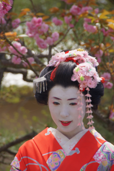 Kyoto - geisha
