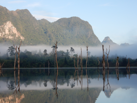 Khao Yai National Park - Khao Sok National Park wordt wakker...