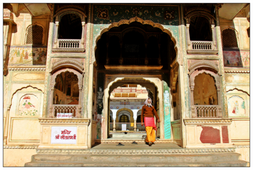 India - Monkey Temple