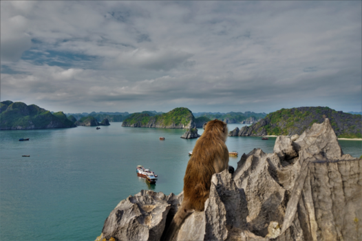 Halong Bay - The view of Monkey Island